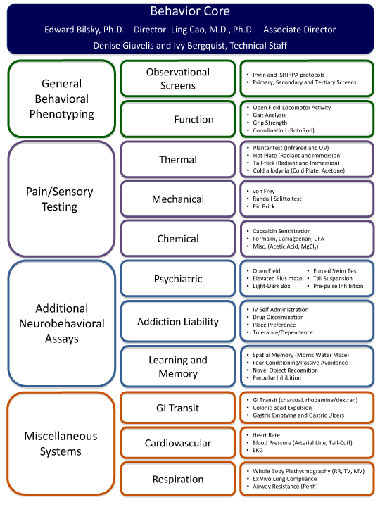 Chart designed to analyze the dimensions and types of chronic pain 