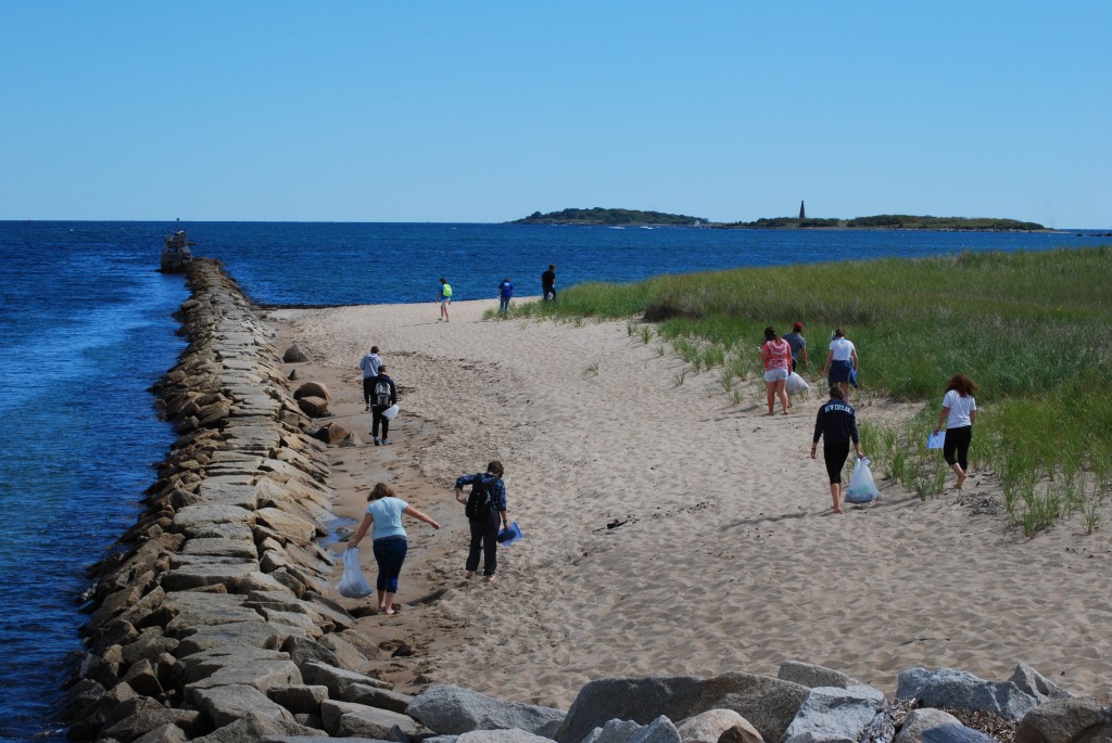 UNE students walk along the beach collecting marine debris