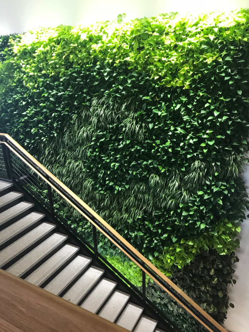 The living green wall is a prominent feature of Ripich Commons