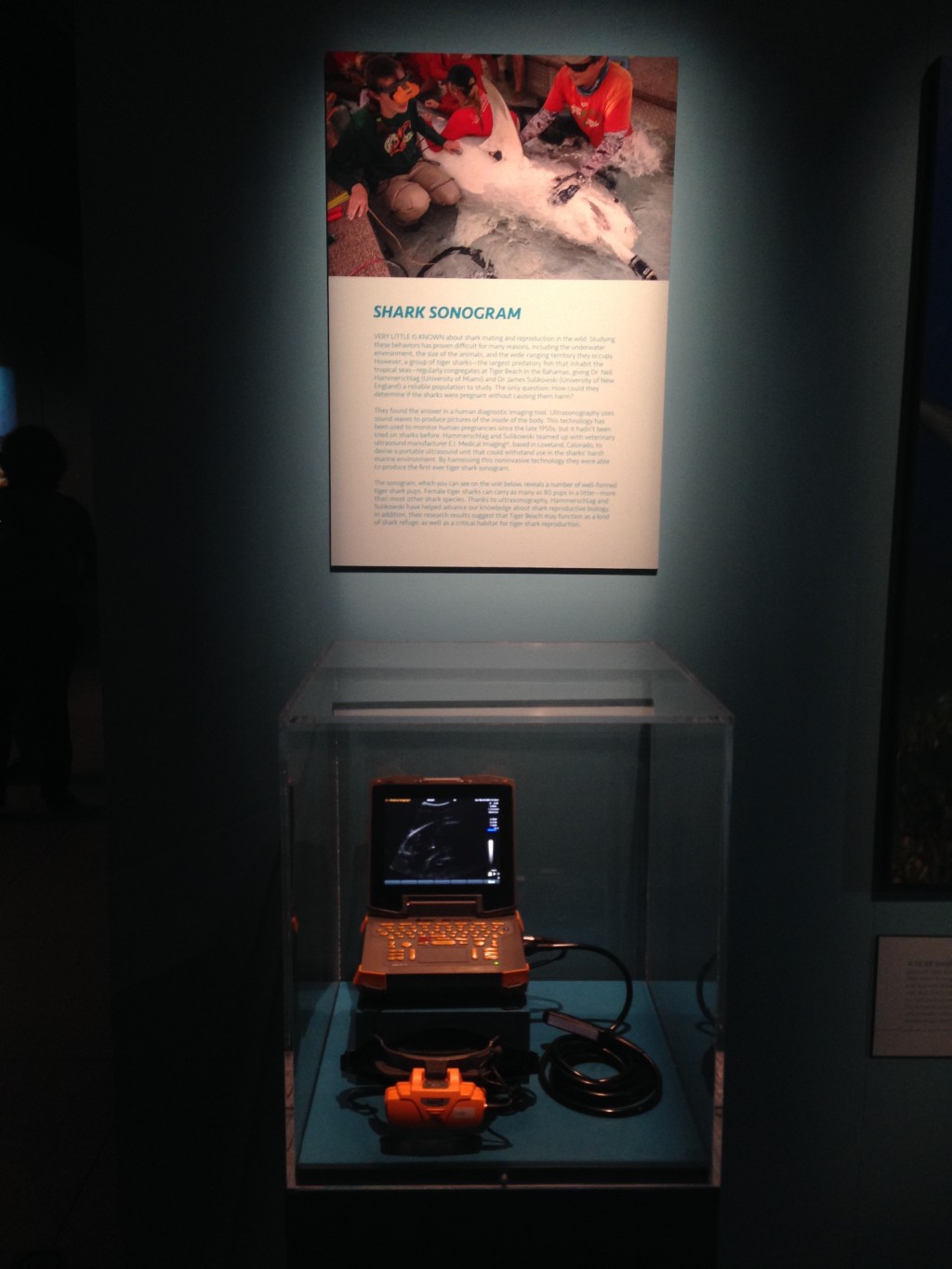 The exhibit includes a display of the ultrasound machine designed for sharks used by Sulikowski