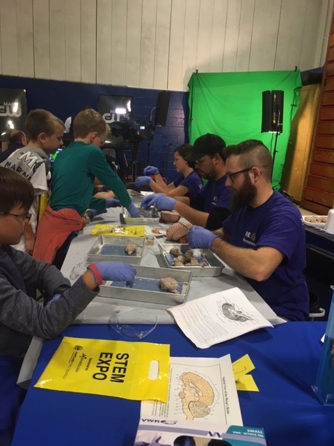 UNE students and staff gave comparative brain and anatomy lessons to hundreds of children at the expo