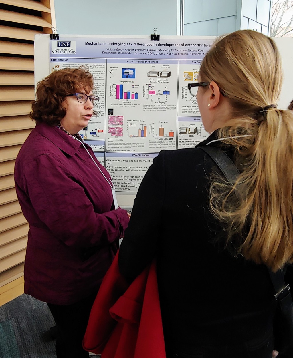 Tamara King of the Department of Biomedical Sciences discusses her research poster