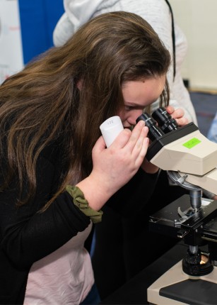 A student peers through a microscope during a U N E Brain Fair