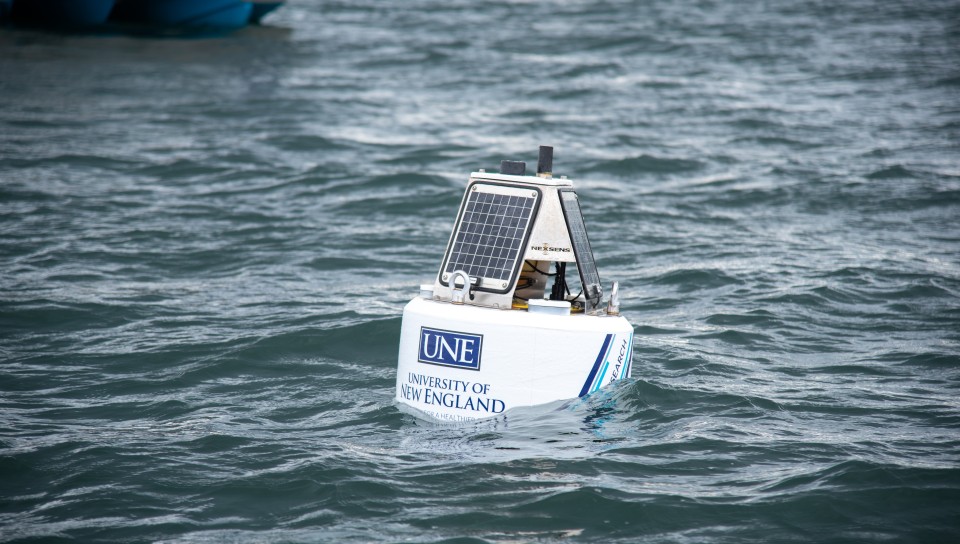 A buoy with solar panels that can track tagged great white sharks in real time floats in the waters of Saco Bay
