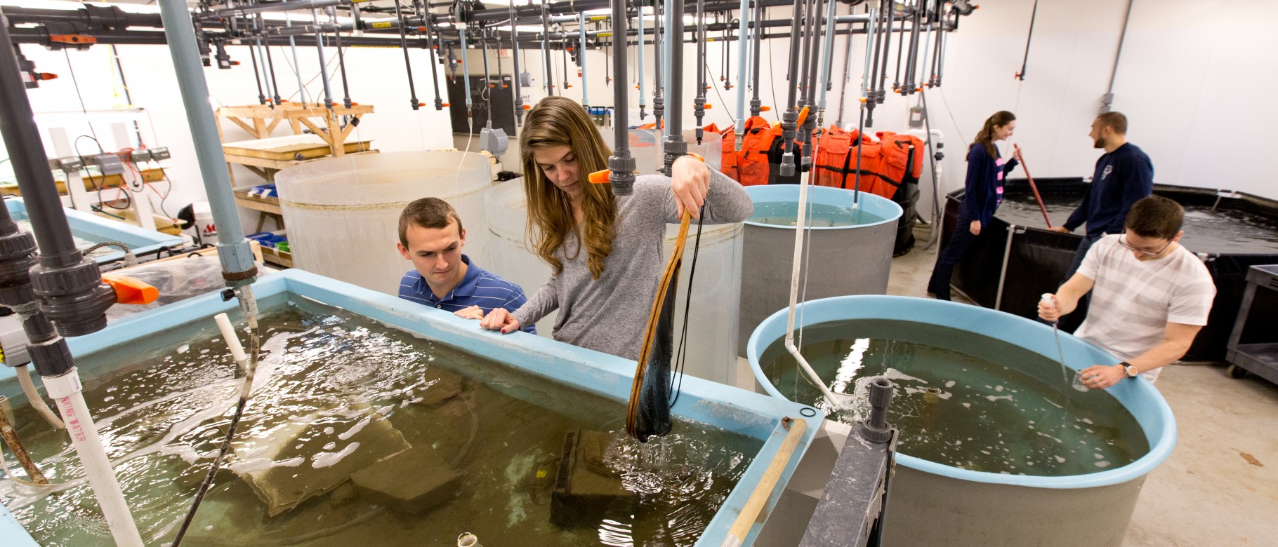 UNE Marine Science research