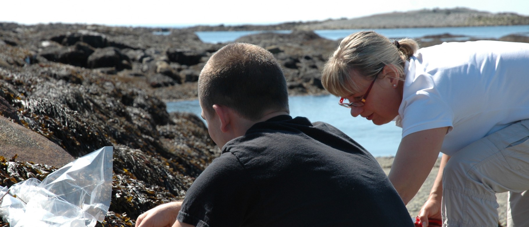 Kyle Martin and Ursula Röse, set up field experiments to investigate chemical defense compounds of brown algae.