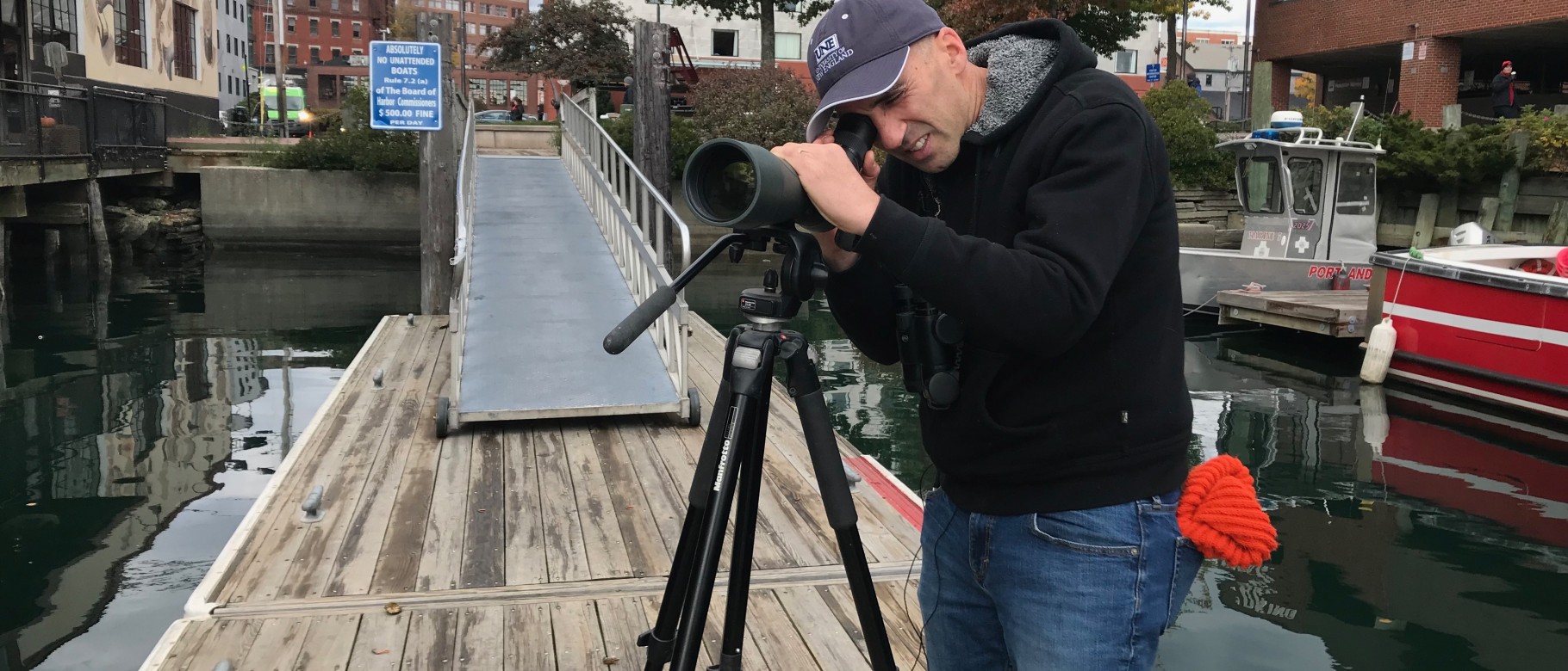 Noah Perlut looks for gulls along the waterfront in Portland