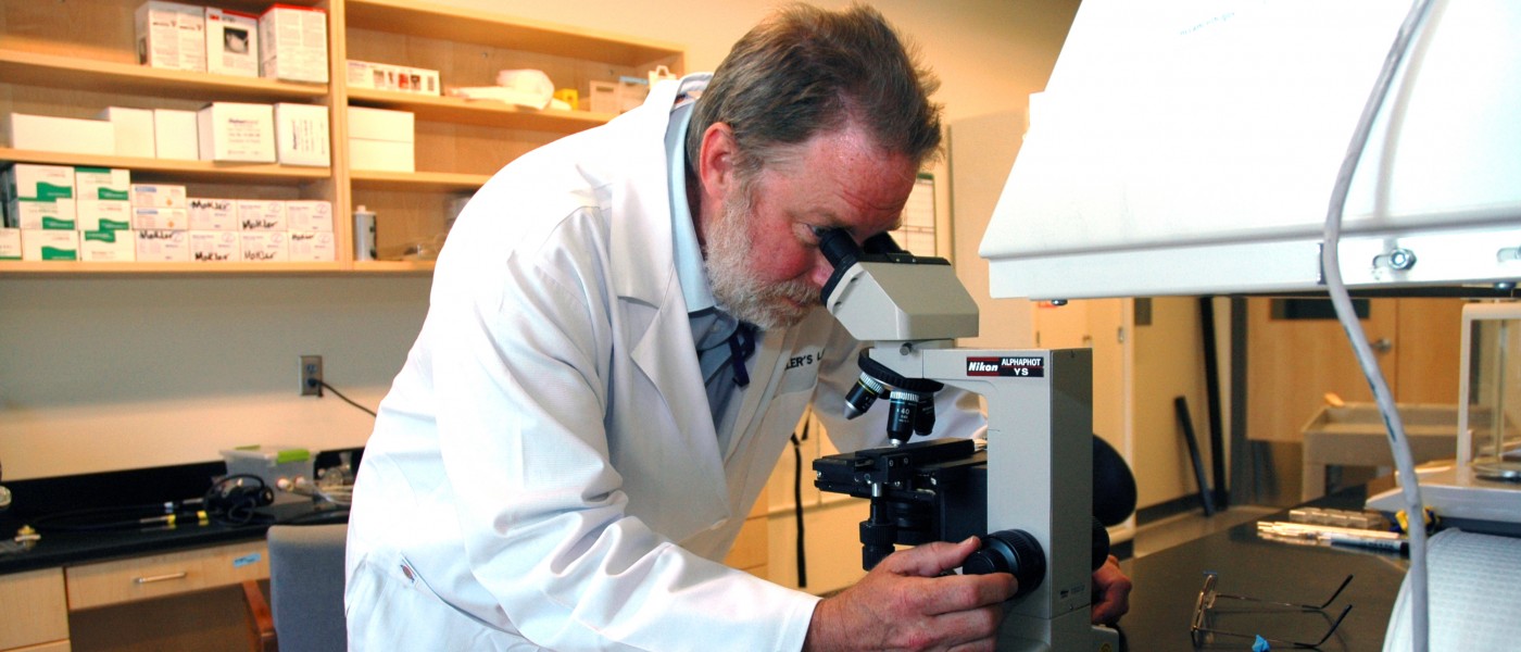 U N E professor David Mokler looks into a microscope 