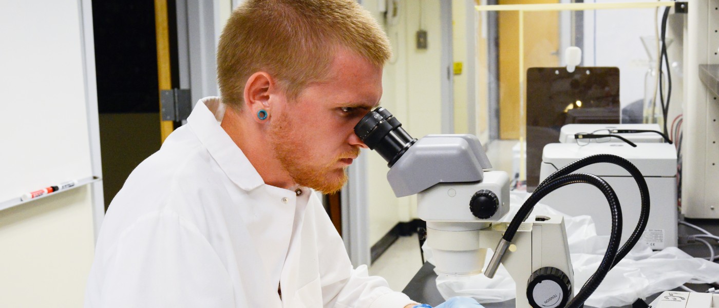 A male U N E student looks into a microscope 