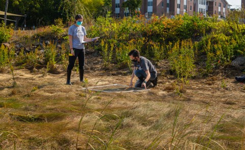 Students in Pam Morgan's Gulf of Maine Field Studies course spent their semester researching the feasibility of creating one or more "living shorelines" along UNE's Biddeford Campus. 