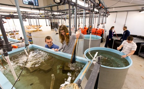 UNE Marine Science research