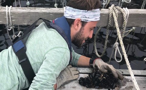UNE graduate student Connor Jones gathers up mussels to take back to the Marine Science Center for research