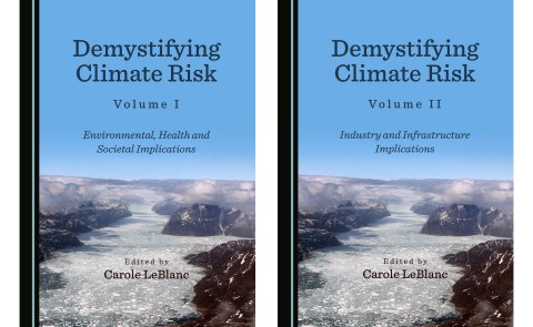 Covers of Demystifying Climate Risk, Volumes I and II