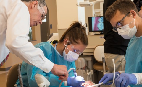 High school students learn from expert faculty dentists at UNE's Dental Careers Exploration Camp