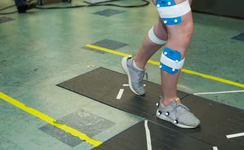 UNE researchers are learning about the connection between pelvic floor muscle function and control of lower limbs. 