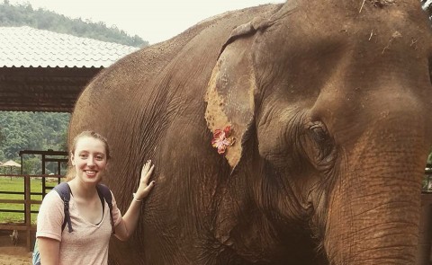 Senior Erin Viens at Elephant Nature Park in Thailand