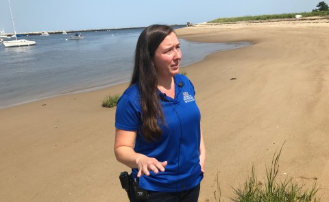 Alicia Williams discusses recent seal deaths with WGME and WMTW