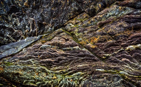 Tim Greenway's exhibit “Mackworth Island Transformed: Rocks Reimagined” is now on display