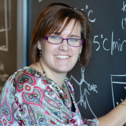Amy Deveau, associate professor and assistant chair of the Department of Chemistry and Physics