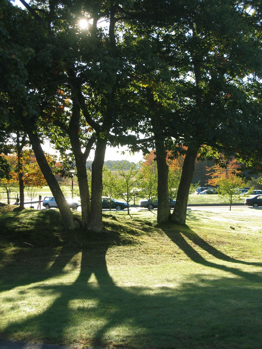 The morning sun peeks through tree tops  on an autumn morning as it casts long shadows near the Campus Center.