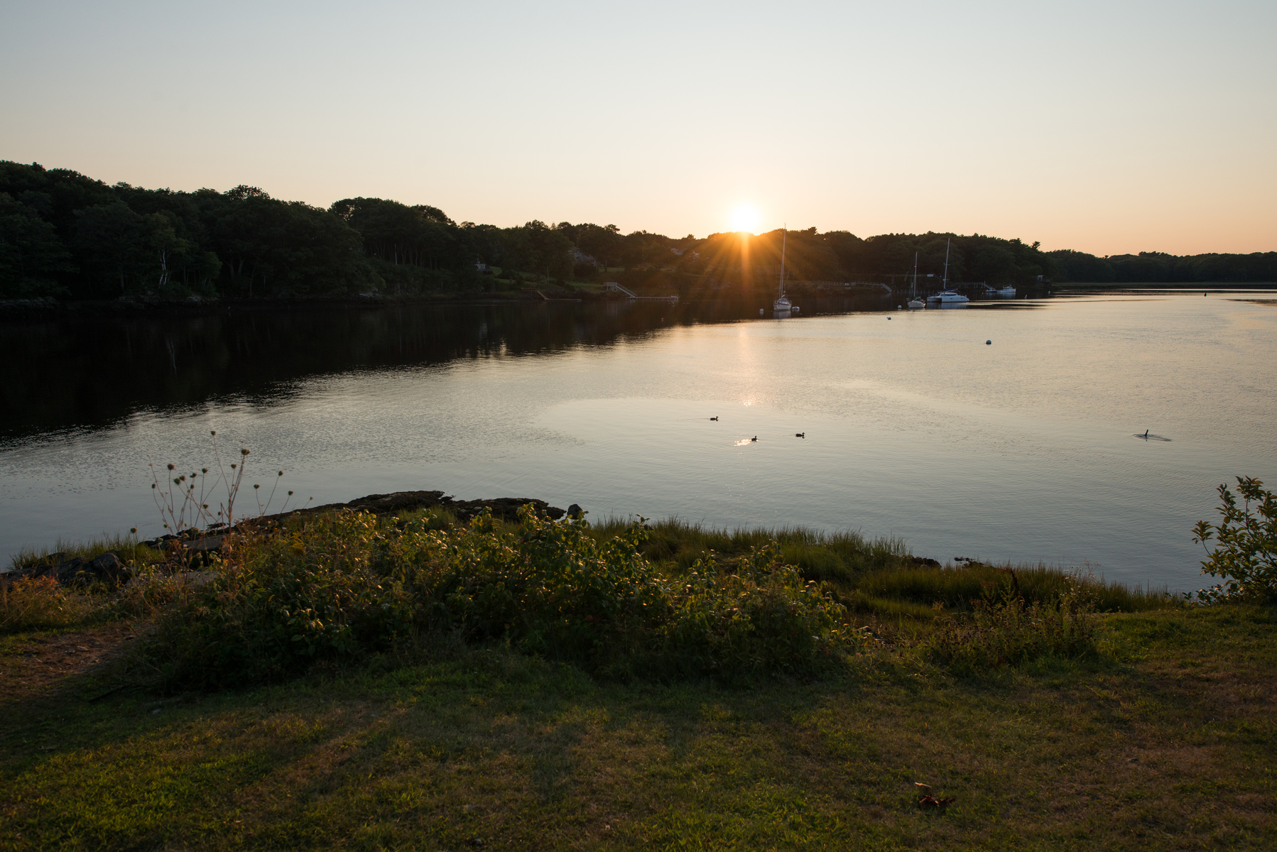 A late summer view from the Biddeford Campus’ kiosk