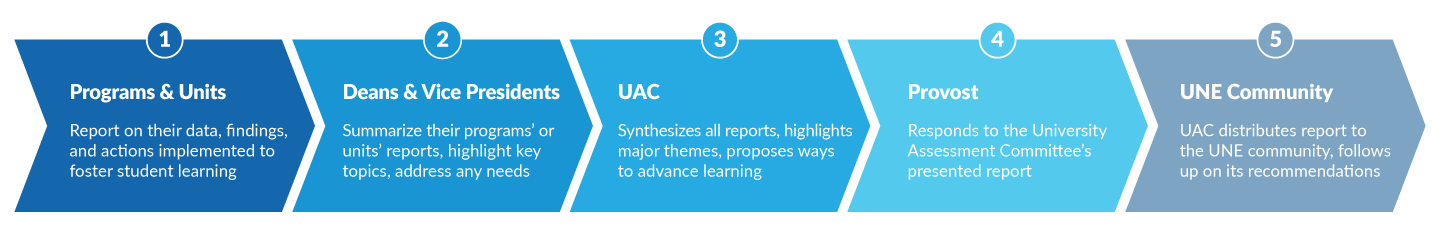 Assessment Reporting process infographic