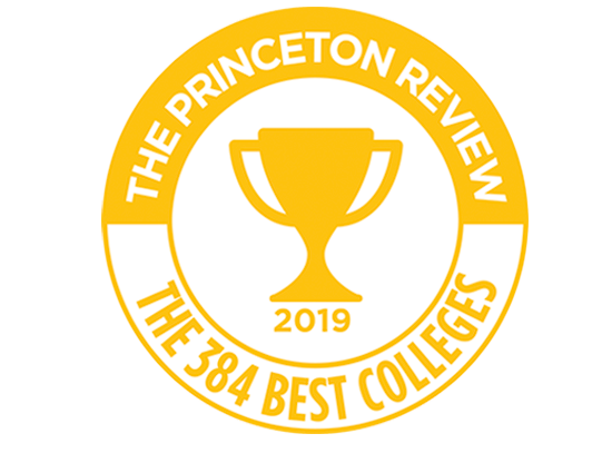 Princeton review badge 2018