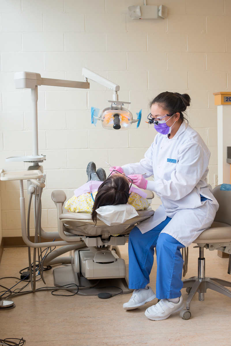 Dental Hygiene Degree Program University of New England in Maine