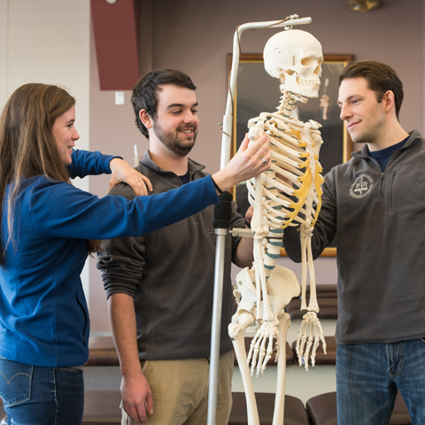 Three students study a skeleton