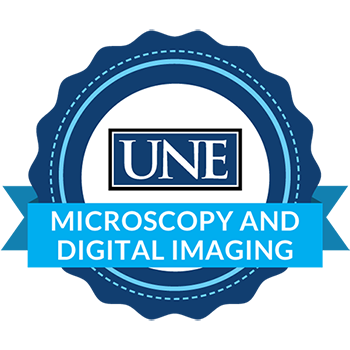 Microscopy and Digital Imaging badge