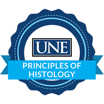 Principles of Histology badge