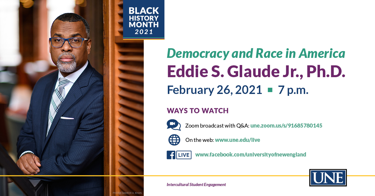 Democracy and Race in America event flyer