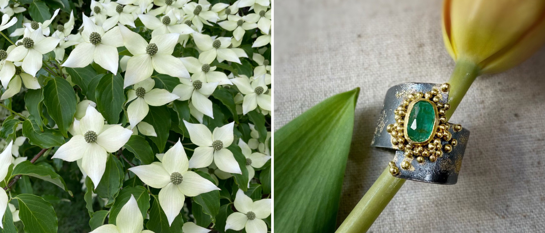 Composite of two images: left, dogwood flowers; right, a gold ring with green stone against a yellow rose