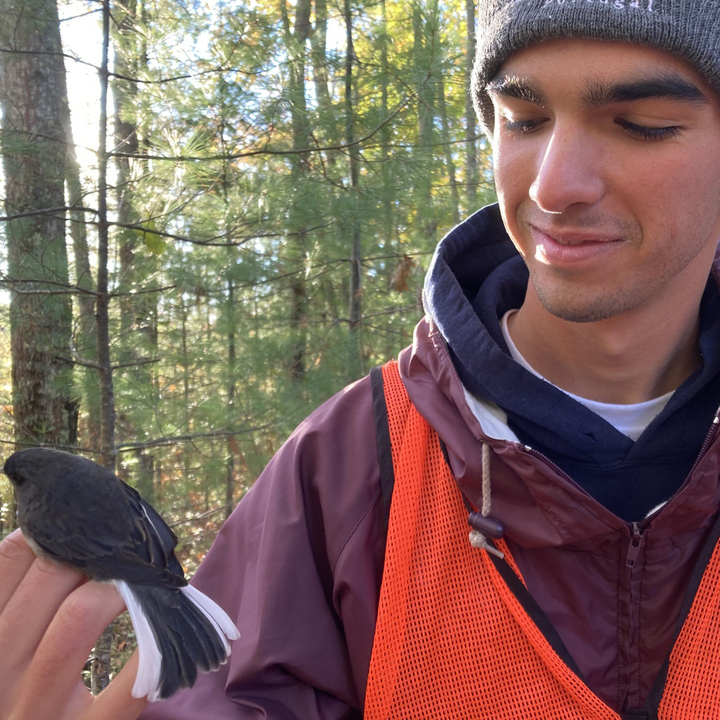Noah Perlut, PhD | Source | Ornithologist and pr... | Qwoted