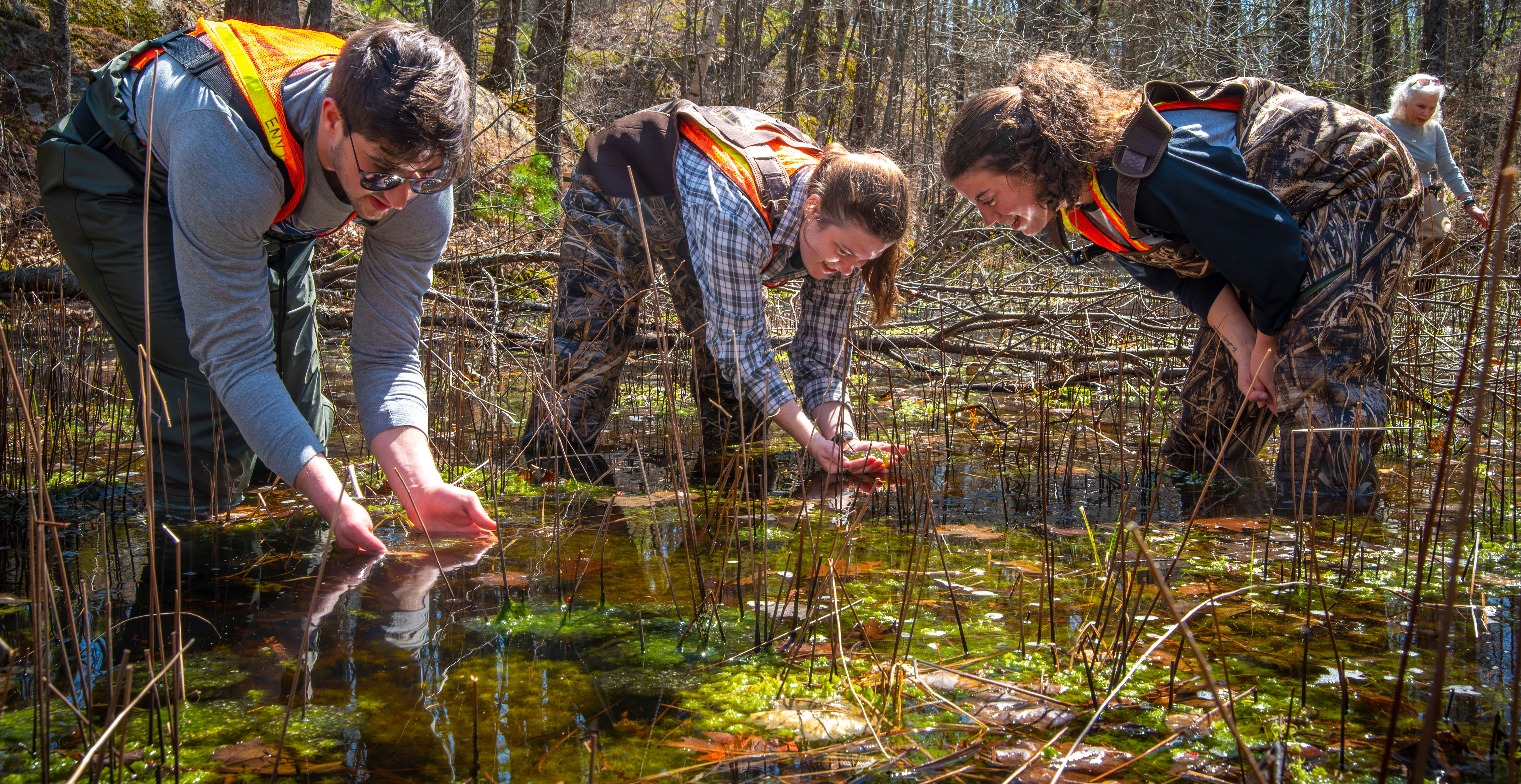Environmental studies students search for eggs in UNE's vernal pools