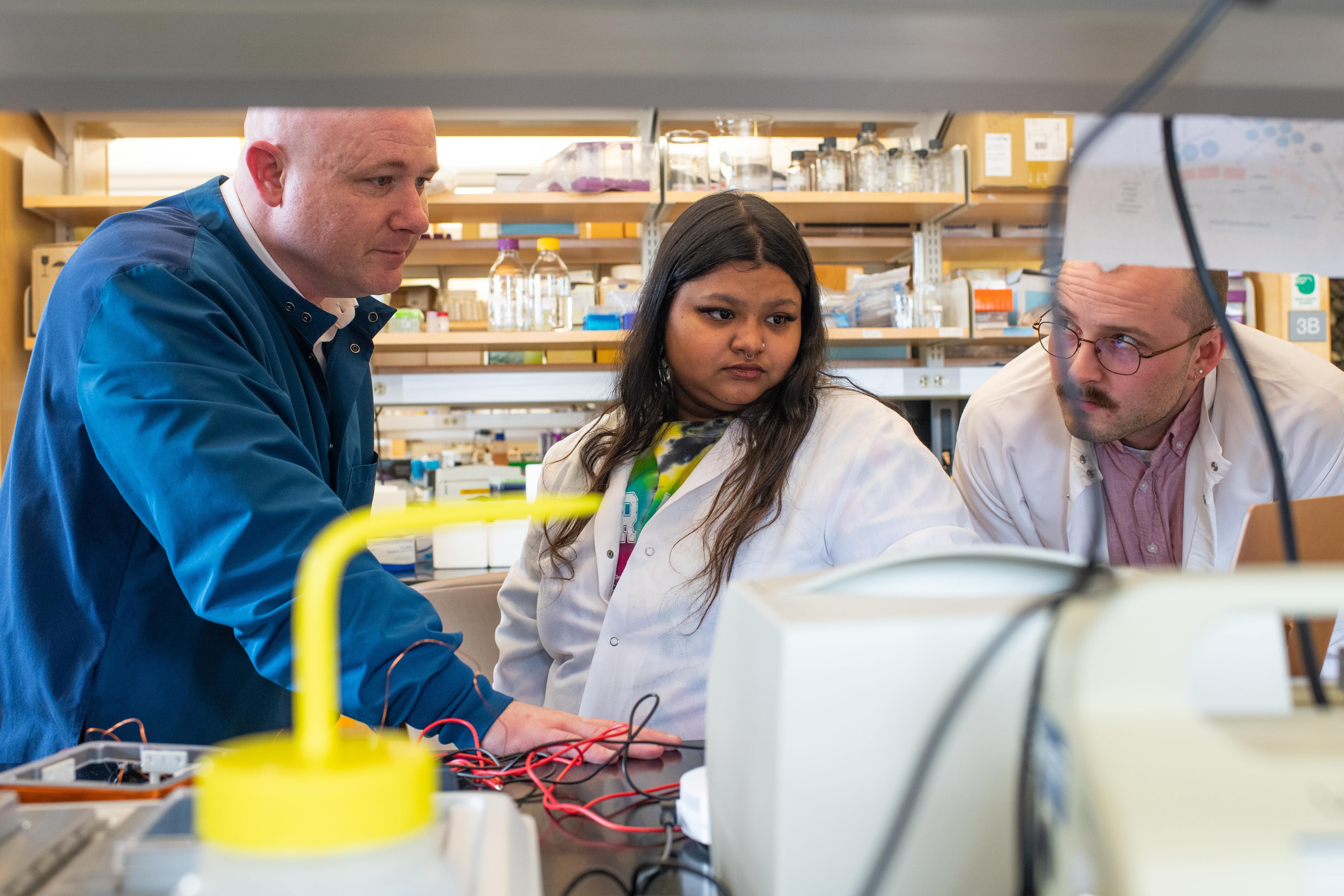 Researchers examine data in the Portland Laboratory for Biotechnology and Health Sciences