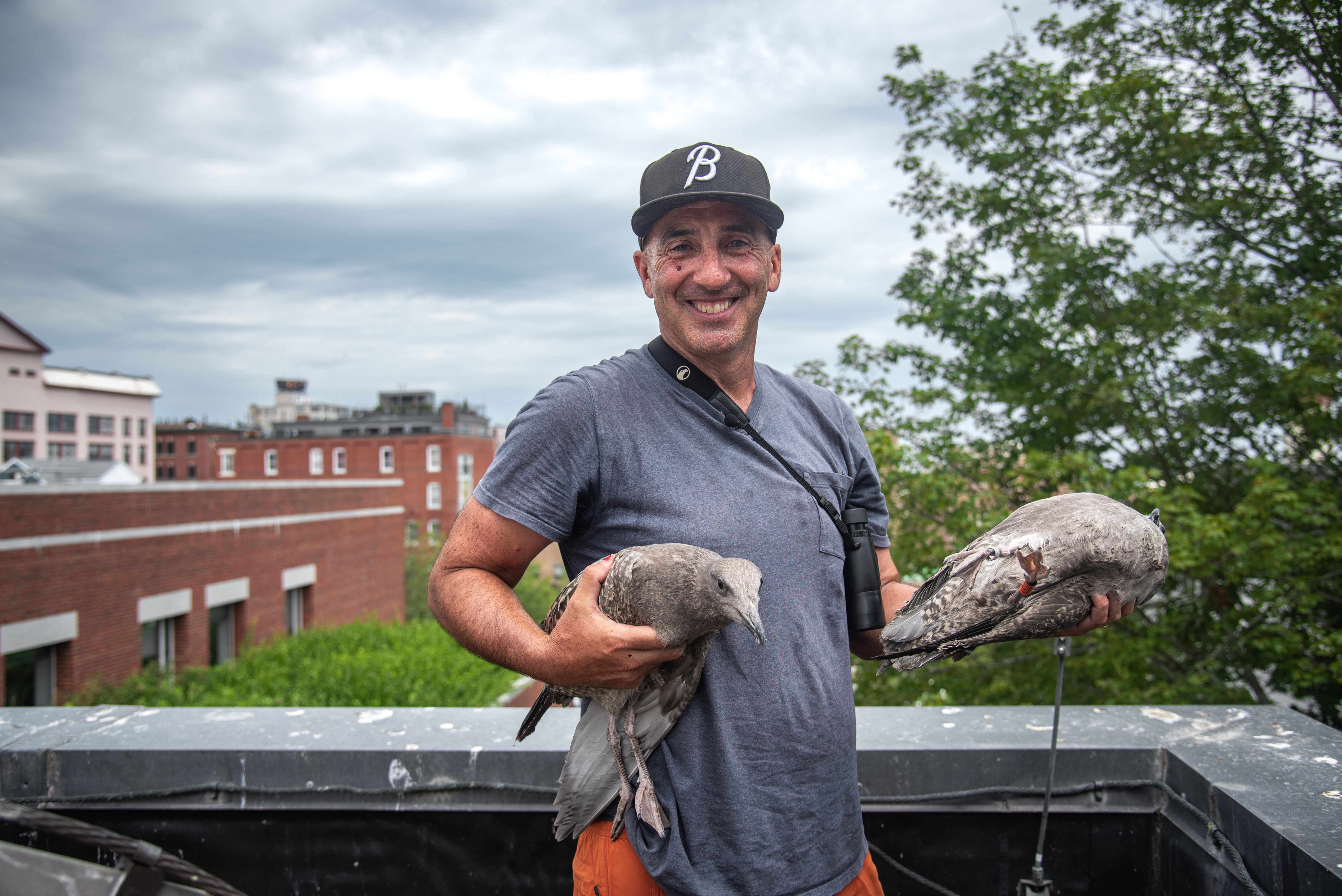 Portrait of Noah Perlut holding seagulls on a roof in Portland