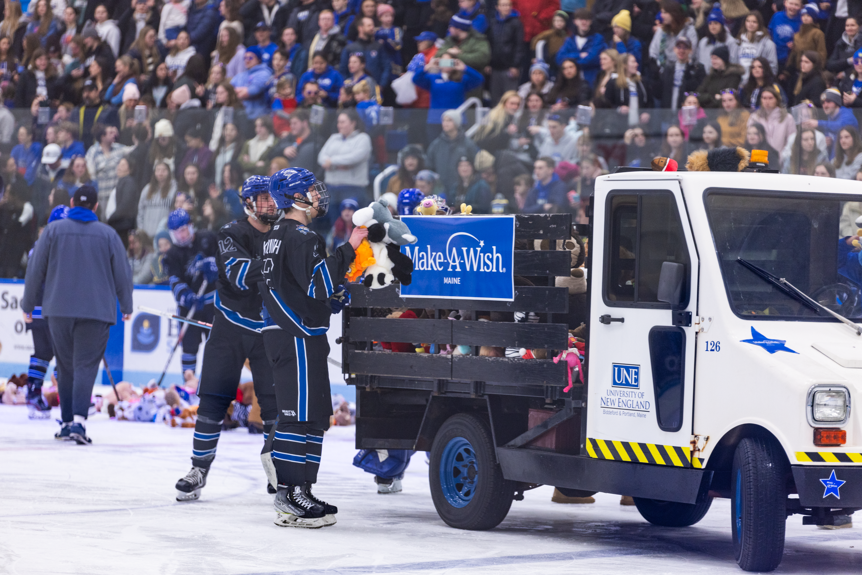 UNE men's hockey players load teddy bears onto a truck bed during the annual Teddy Bear Toss
