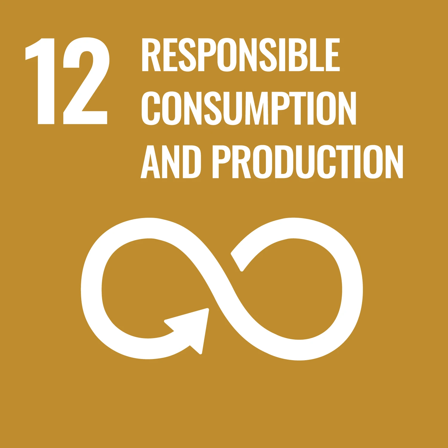 An illustration of an infinity symbol with and arrow and the text, "Responsible Consumption and Production"