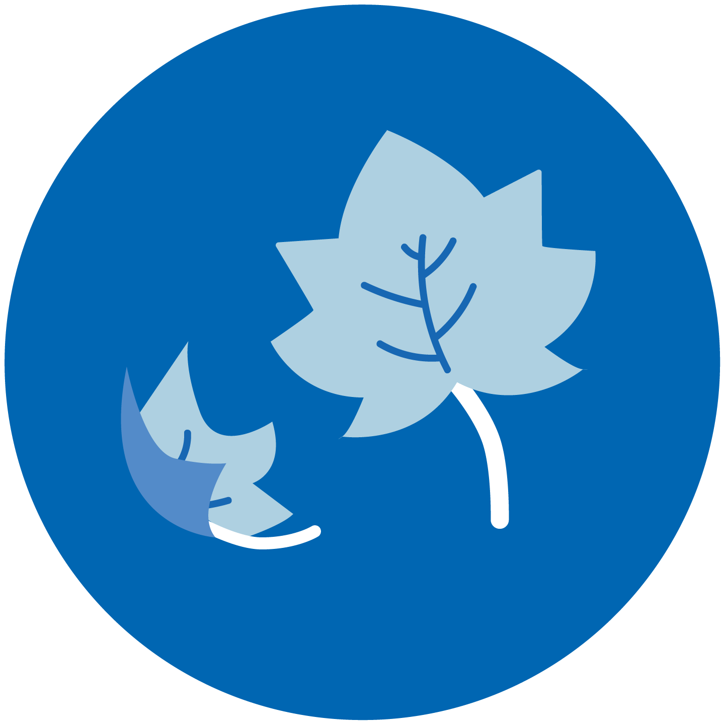 An illustration of falling leaves