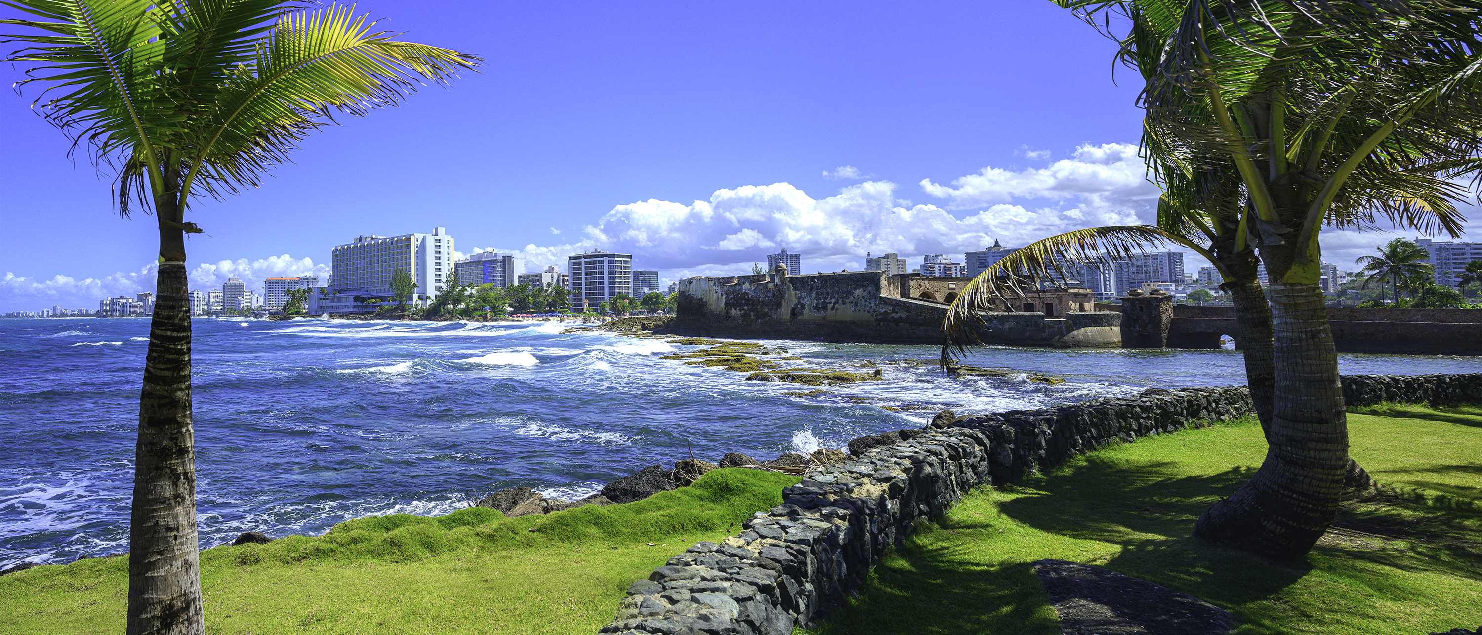 A palm-lined coastal view of San Juan, Puerto Rico, with a historic fort wall and city skyline.