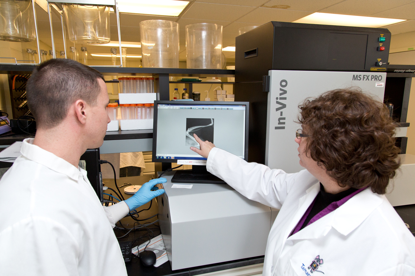 University of New England and BioConnects New England announce partnership