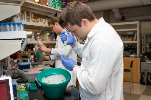 A student uses a pipette in a chemistry lab 