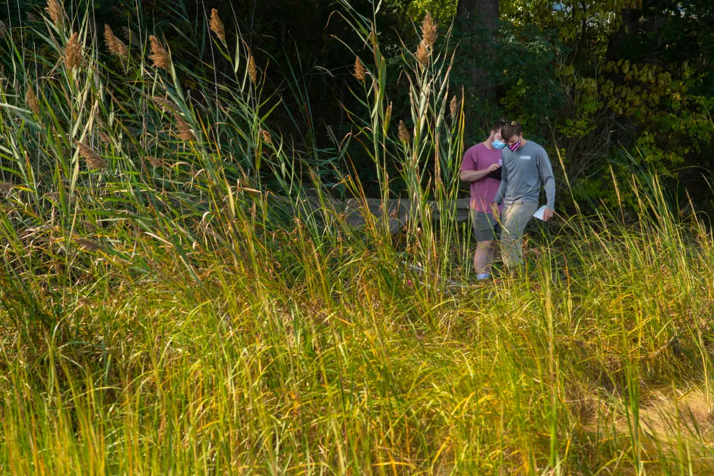 The shoreline is home to many living things — plant, avian, and aquatic.