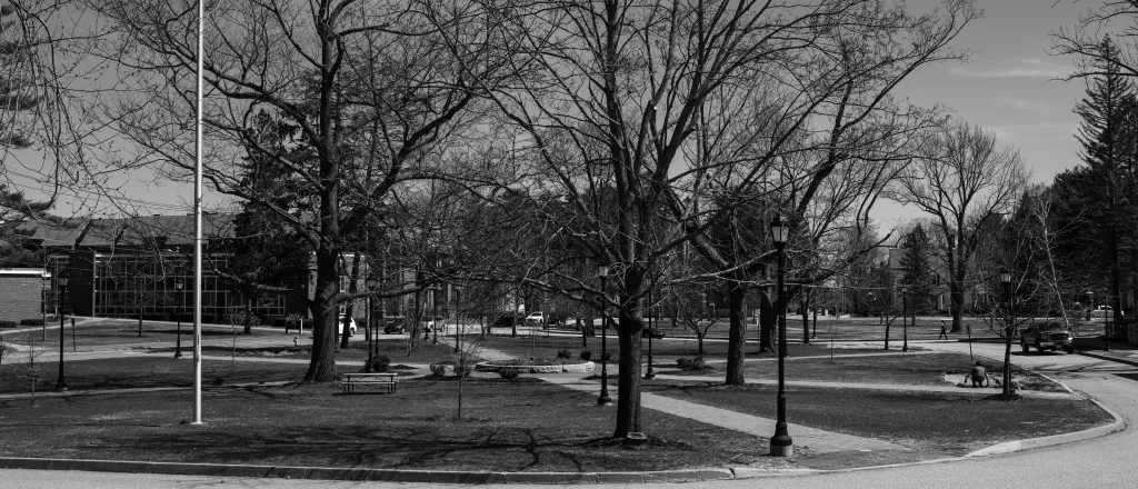 portland campus quad