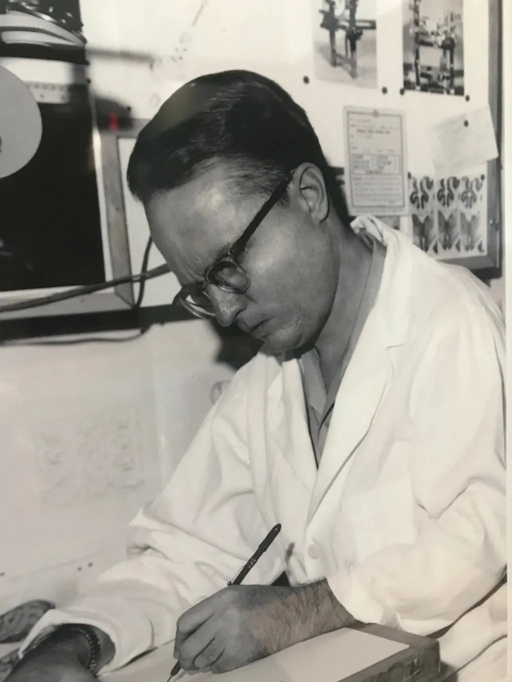 Peter Morgane