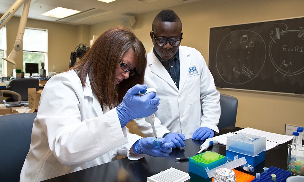 two students in lab coast and gloves work in a pharmacy lab
