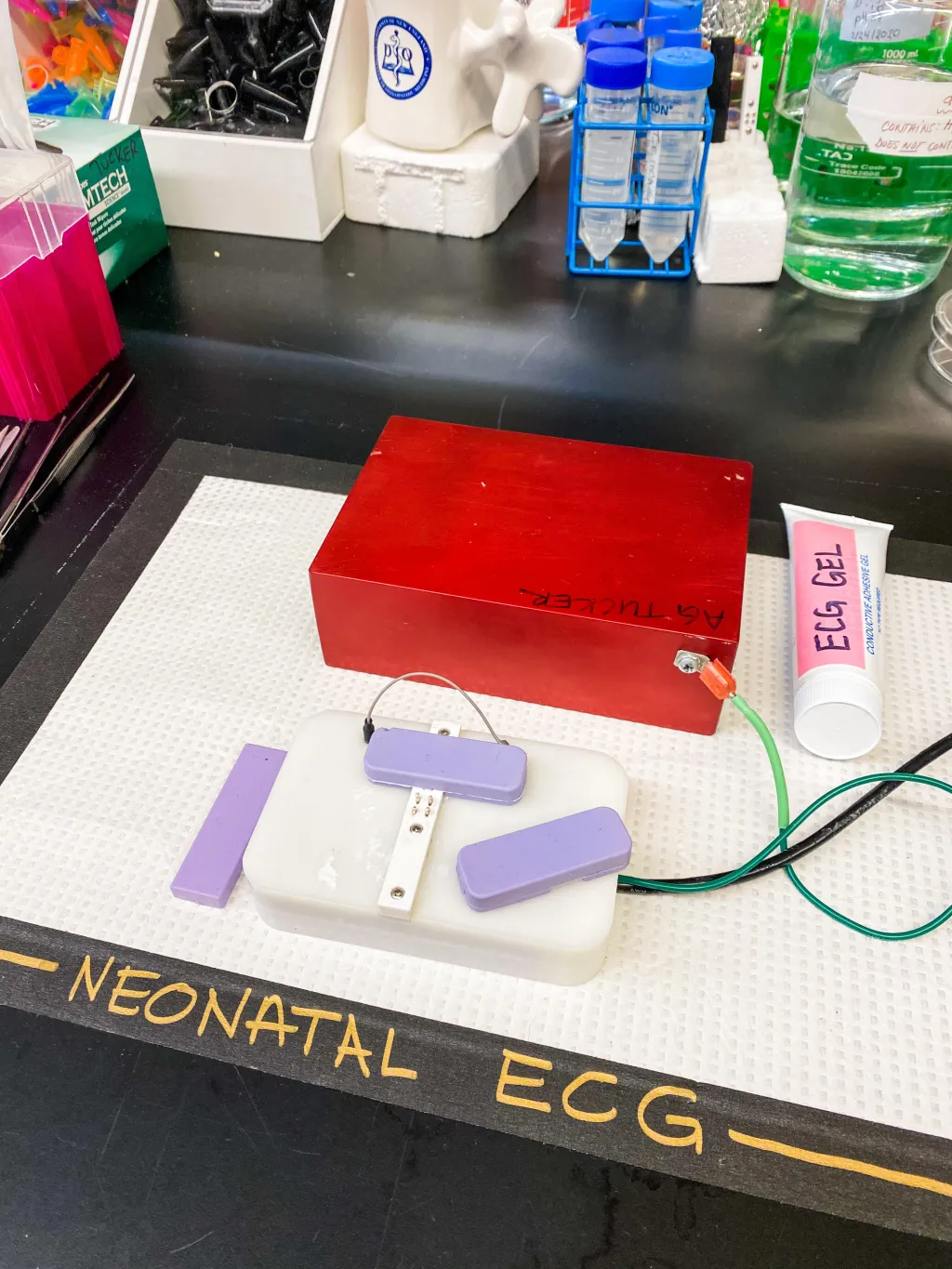 The system developed to take ECGs of neonatal mice pups