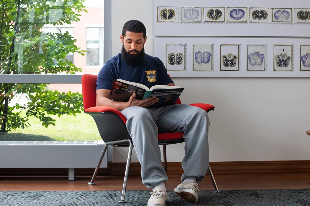 A U N E student read a book while sitting in a chair in front of an art display