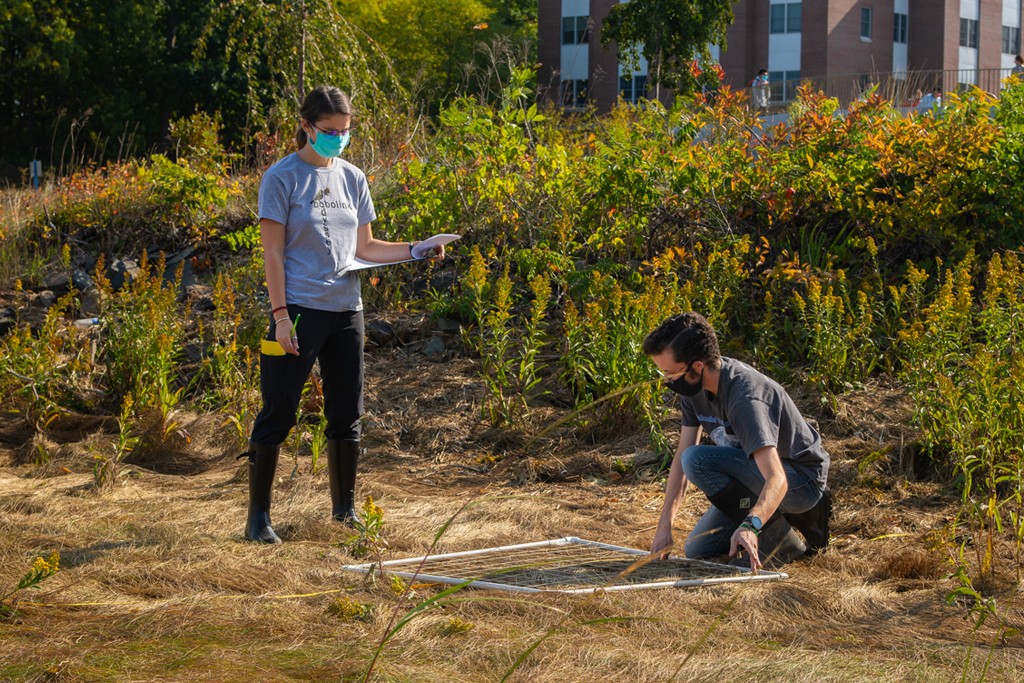 Two students gather environmental data in a field on the U N E biddeford campus